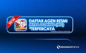 Agen Chip Higgs Domino Resmi